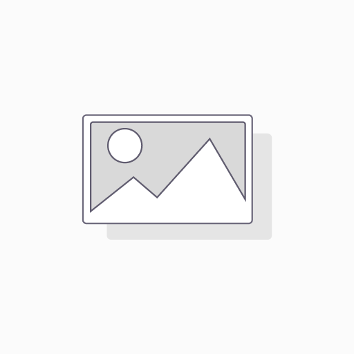Silver Sponsor